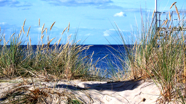 Foto: Strandhafe und Dünen am Strand von Usedom, im Hintergrund das Meer und blauer Himmel