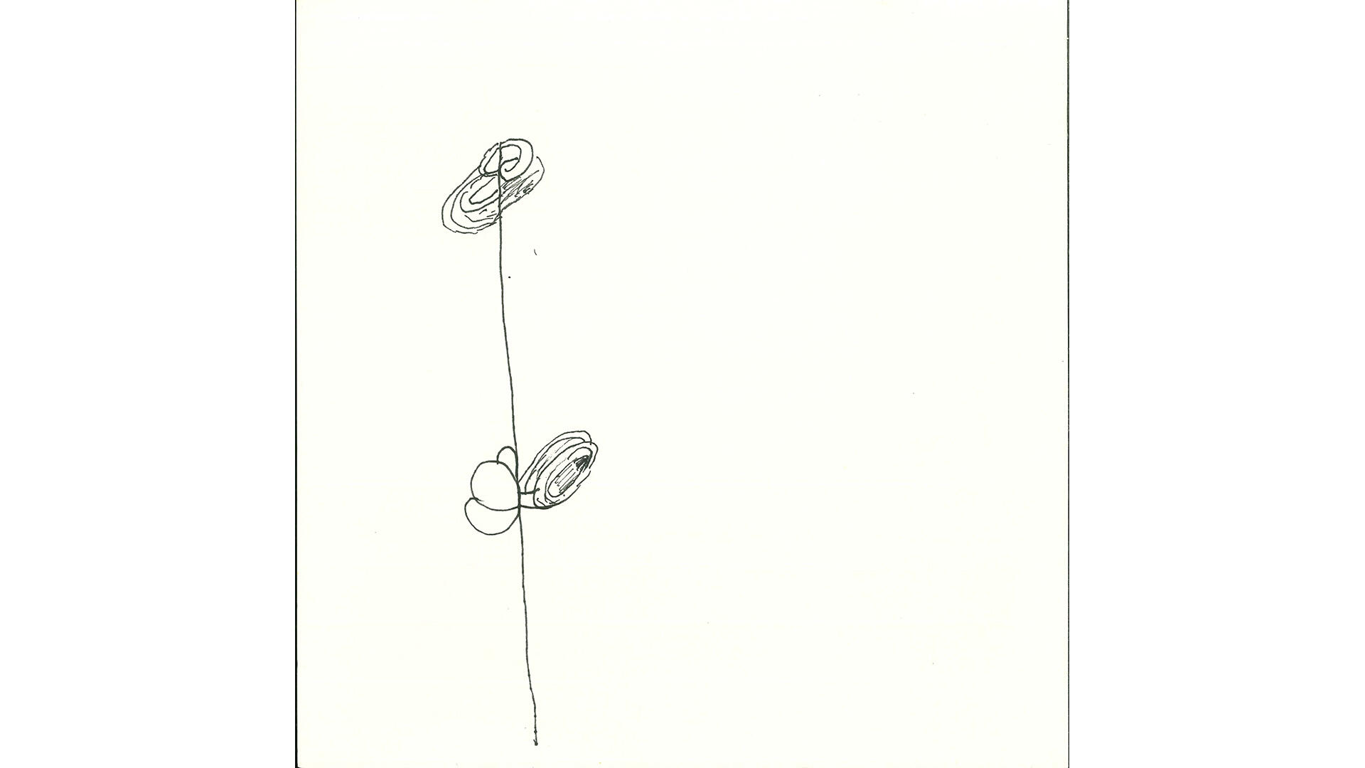 Zeichnung einer Blüte mit Stiel