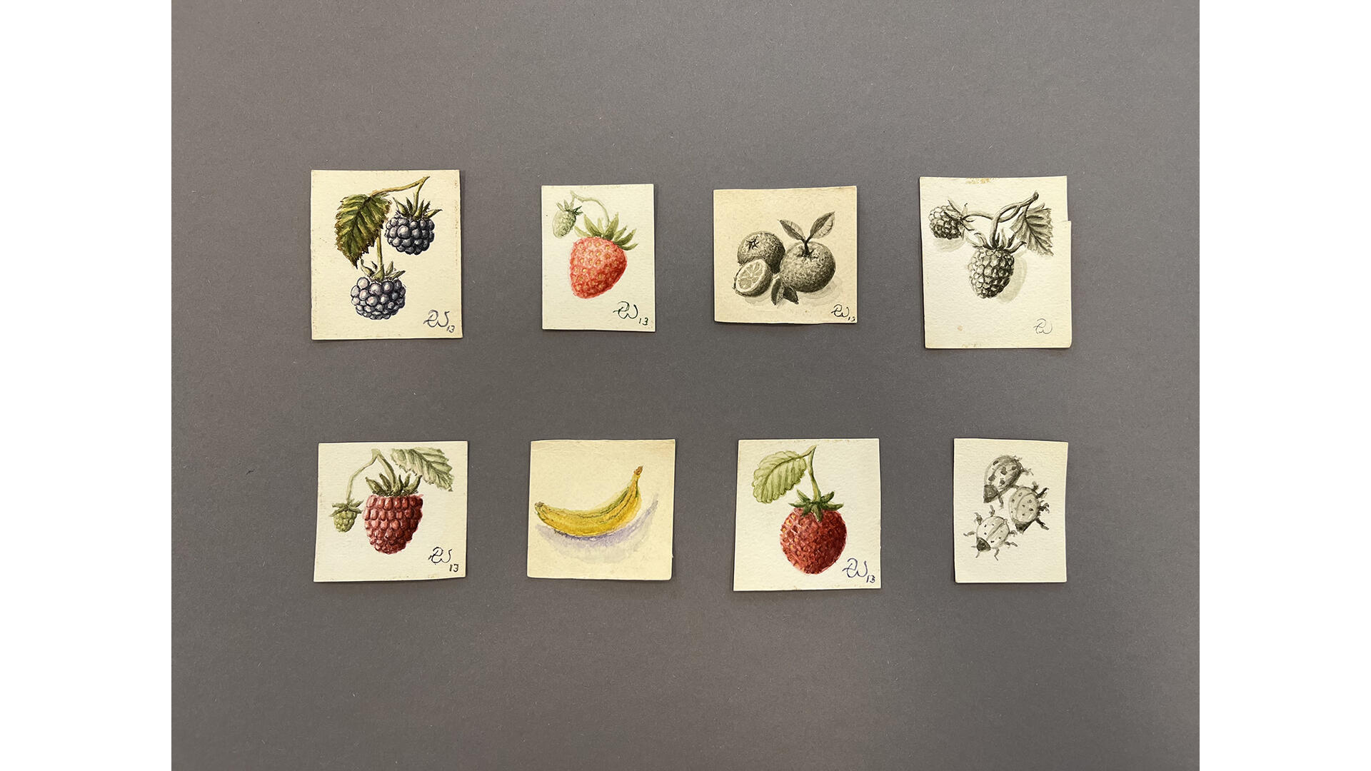 Acht Miniaturen von Beeren und einem Käfer
