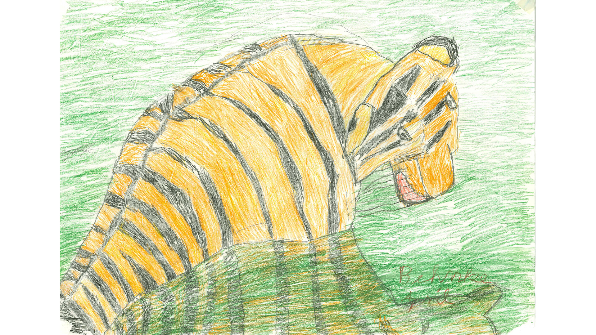 Bild der seitlichen Rückenansicht eines Tigers im grünen Gras