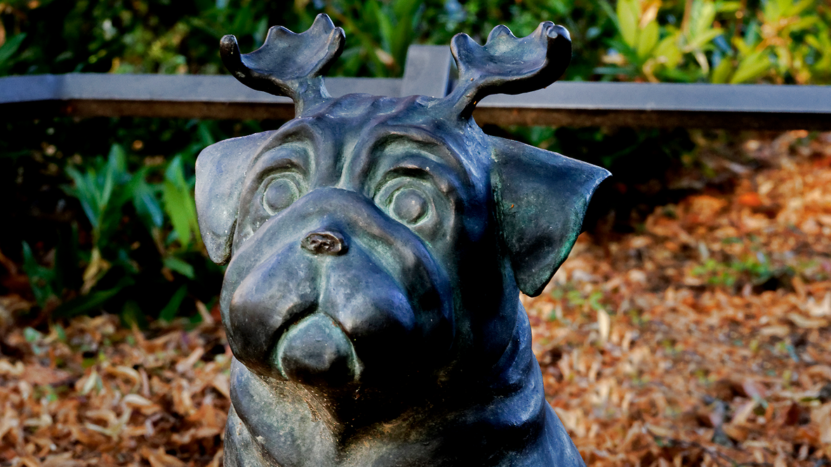 Foto: Eine von Loriot gestaltete Waldmopsfigur aus Bronze in Brandenburg in Nahaufnahme; Foto von C. Böttcher