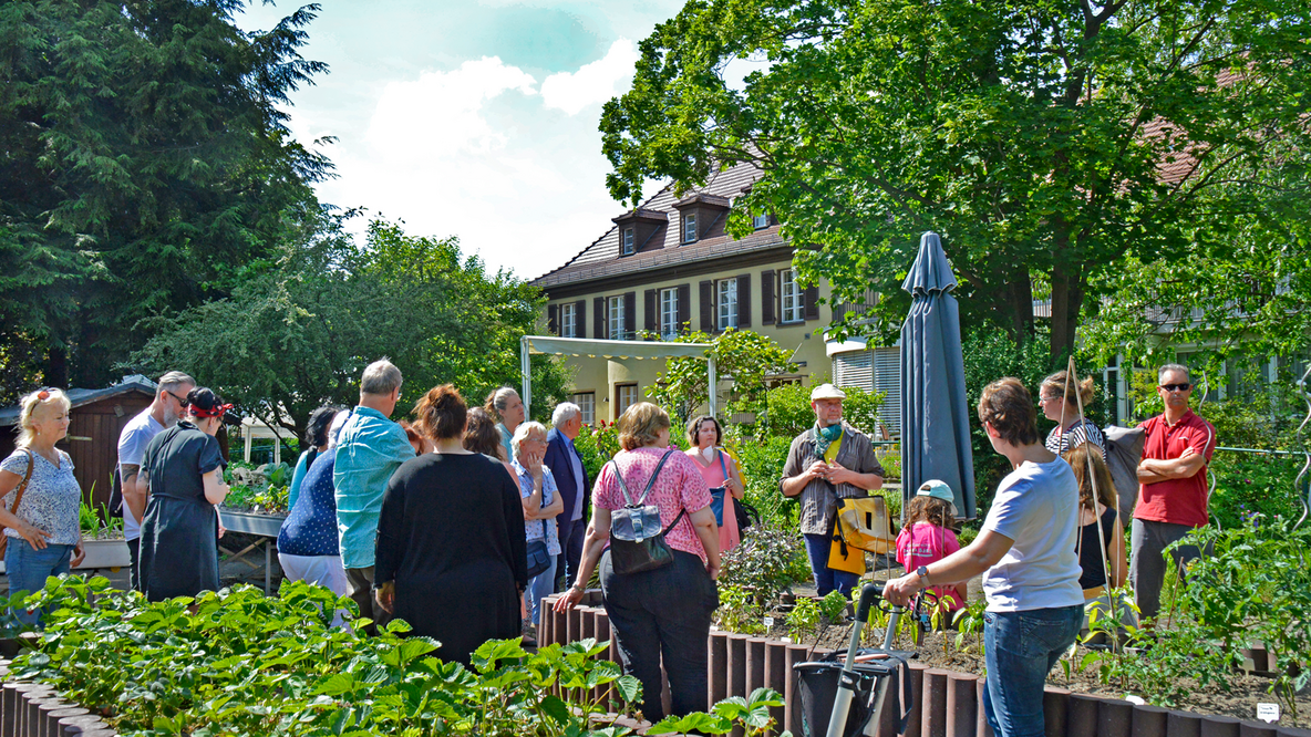 Foto: Eine bunt gemischte Menschengruppe im Hochbeetegarten der Villa Donnersmarck an einem Sonnentag; rechts im Vordergrund eine Dame am Rollator, im Hintergrund das Haus