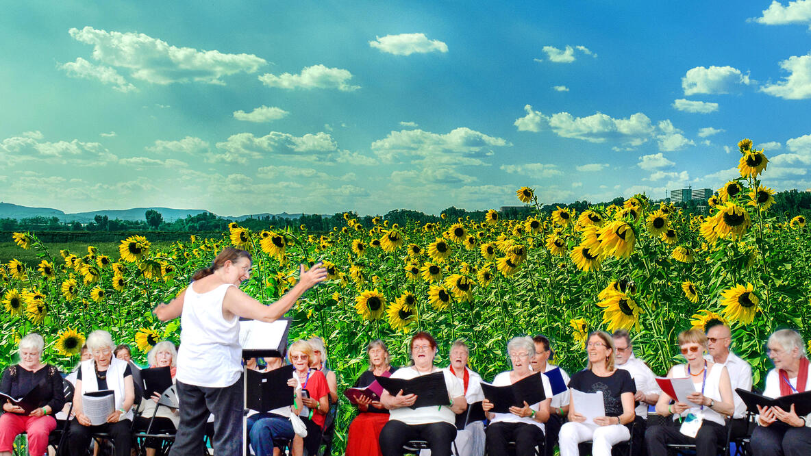 Fotocollage: Der Chor der Fürst Donnersmarck-Stiftung vor einem Sonnenblumenfeld unter blauem Himmeln