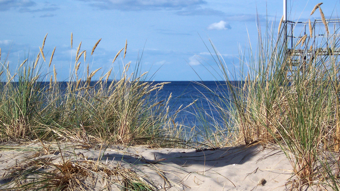 Foto: Ein Blick auf die Ostsee an einem Sommertag, im Vordergrund Dünen mit Strandhafer