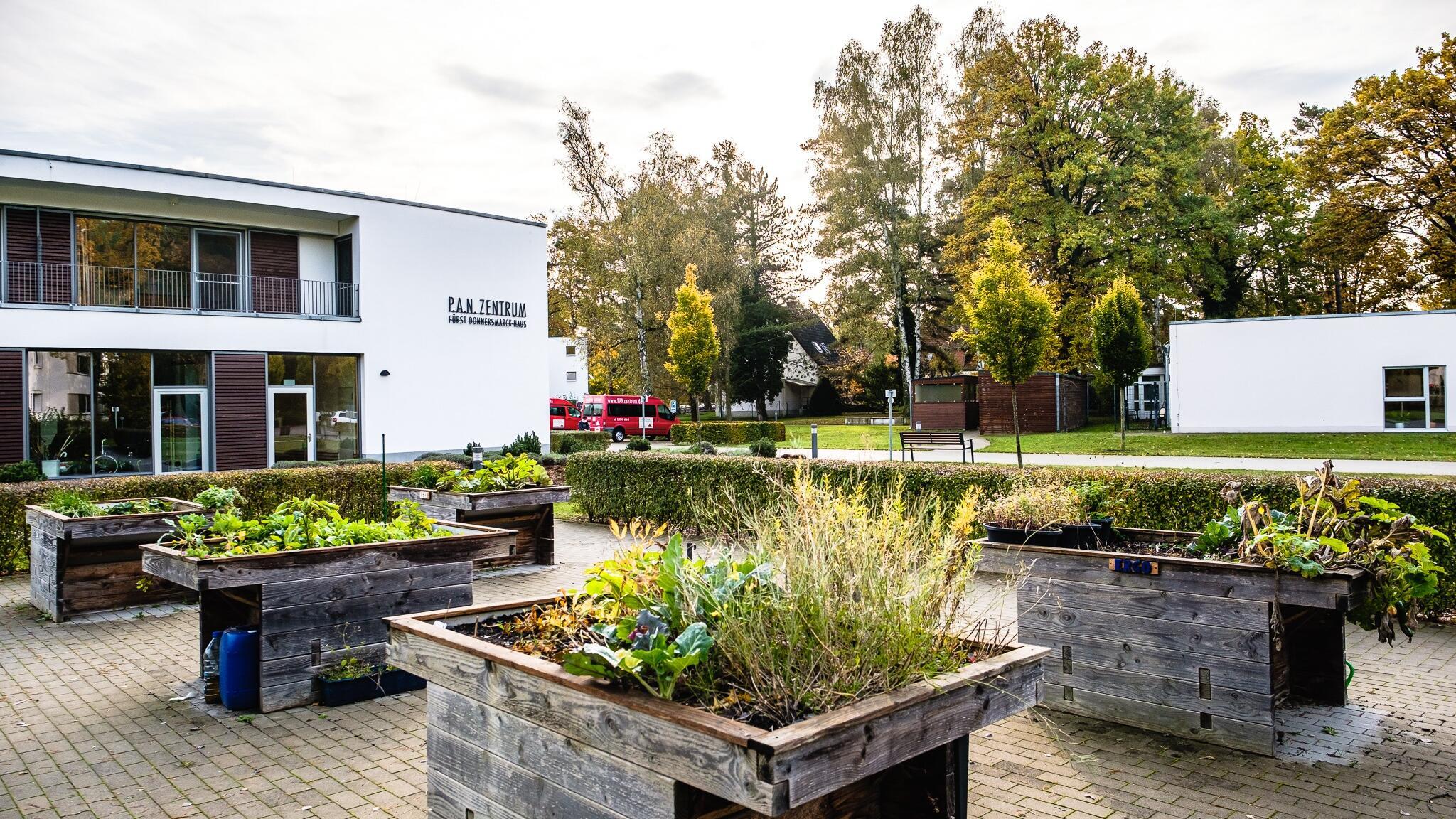 Hochbeete, die sich mit dem Rollstuhl unterfahren lassen, mit Nutzpflanzen vor dem P.A.N. Zentrum.